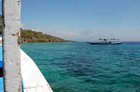 Bali Menjangan Snorkelen