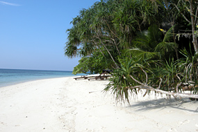Lankayan Island Strand