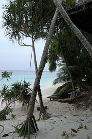 Lankayan Island Strand