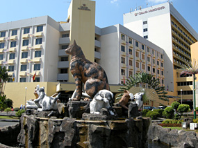 Maleisië Kuching Kattenbeelden