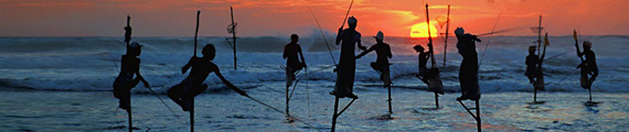 Paalvissers in Sri Lanka