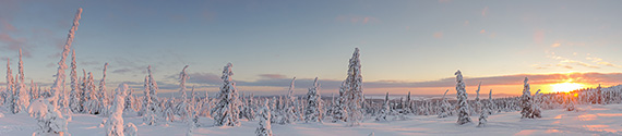 Winterwonderland, Finland vakantie