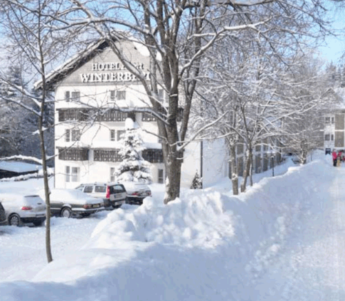 Hotel Winterberg Resort