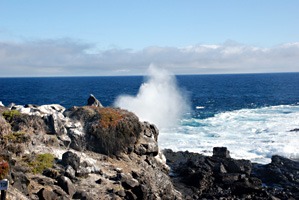 galapagos-blowhole-01