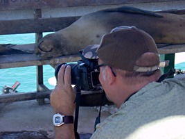 galapagos-haven-zeeleeuw-04