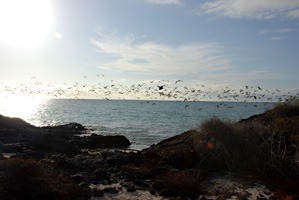 galapagos-landschap-04