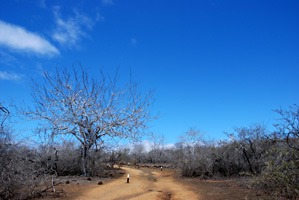 galapagos-landschap-08