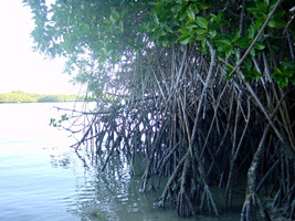 galapagos-landschap-16