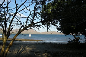 bali-komodo-excursie-02