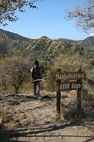 bali-komodo-excursie-gids