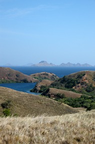 bali-komodo-rinca-excursie-14