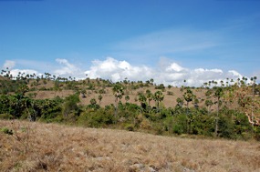 bali-komodo-rinca-excursie-18