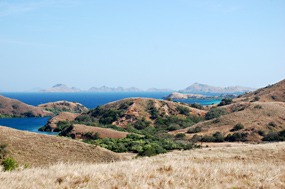 bali-komodo-rinca-excursie-19