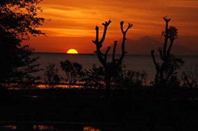 bali-komodo-rinca-excursie-20