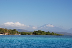 bali-menjangan-snorkelen-04