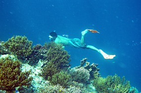 bali-menjangan-snorkelen-14