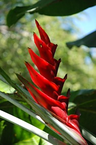 bali-sanur-hotel-mercure-sanur-11