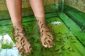 bali-sanur-warung-art-cafe-dr-fish-02