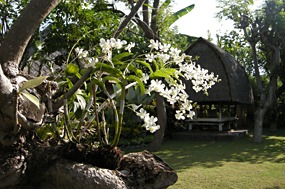 bali-taman-sari-11