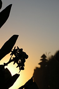 bali-uluwatu-tempel-zonsondergang-03