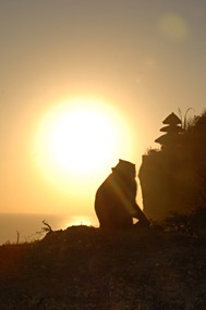 bali-uluwatu-tempel-zonsondergang