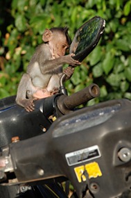 bali-uluwatutempel-aapje-02