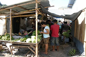 flores-markt-05