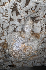 flores-mirror-cave-fossiel-01