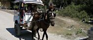 gili-trawangan-paard-wagen-01