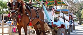gili-trawangan-paard-wagen-02
