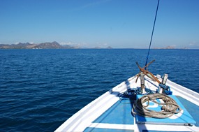 komodo-rinca-cruise-01