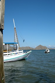 komodo-rinca-cruise-04