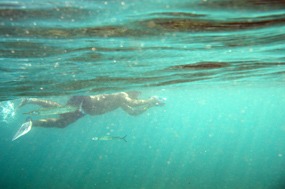 lombok-senggigi-snorkelen-04