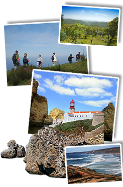 Wandelreis Madeira, 10 dagen