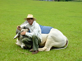 vinales-man-met-zeboe-2