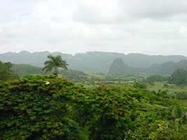 vinales-mogotes-4