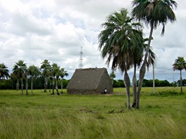 vinales-tabakdroogruimte