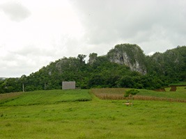 vinales-tabaksplantage