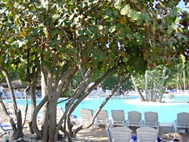 bavaro-beach-resort-16