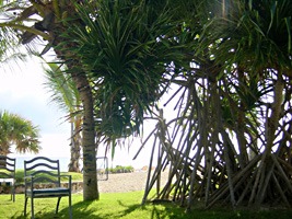 bavaro-beach-resort-20