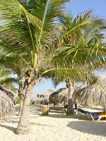 bavaro-beach-resort-24