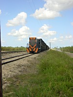 dominicaanse-republiek-excursie-21