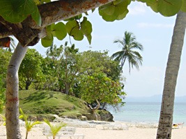 dominicaanse-republiek-excursie-bacardi-06