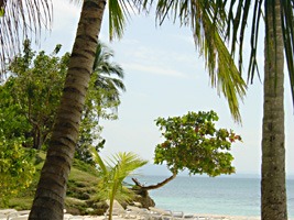 dominicaanse-republiek-excursie-bacardi-07