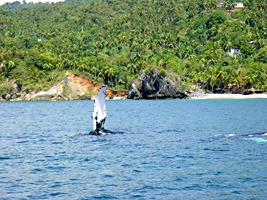 dominicaanse-republiek-excursie-walvissen-02