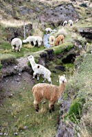 ecuador-chimborazo-03