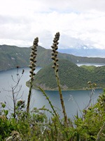 ecuador-cuicocha-01