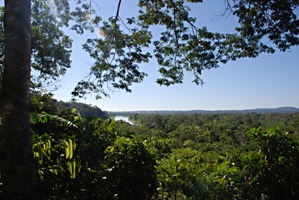 ecuador-jungle-09