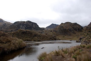 ecuador-las-cajas-02