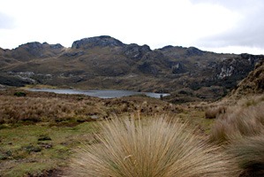 ecuador-las-cajas-03